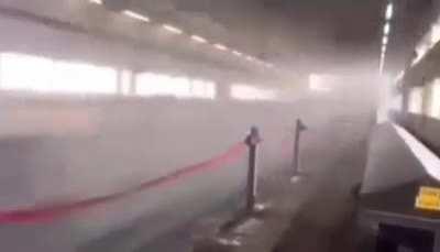 Haha, Japanese bullet train goes SWWWOOOSHHH