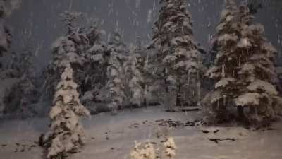 Walking home November 2024