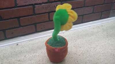 Quick reminder: This is real