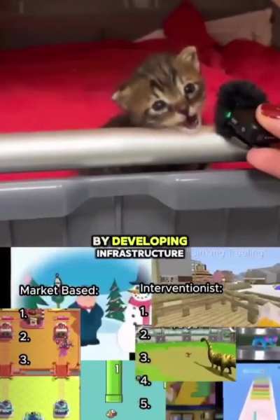 Wunk is smarter than it seems