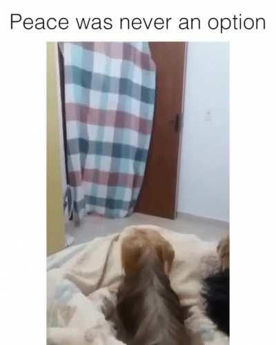 She left...Now we can fight