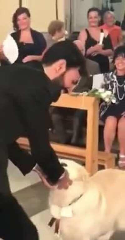 Best ring-bearer ever