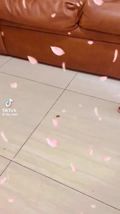 Bug crush.. Trying to find more of her content..