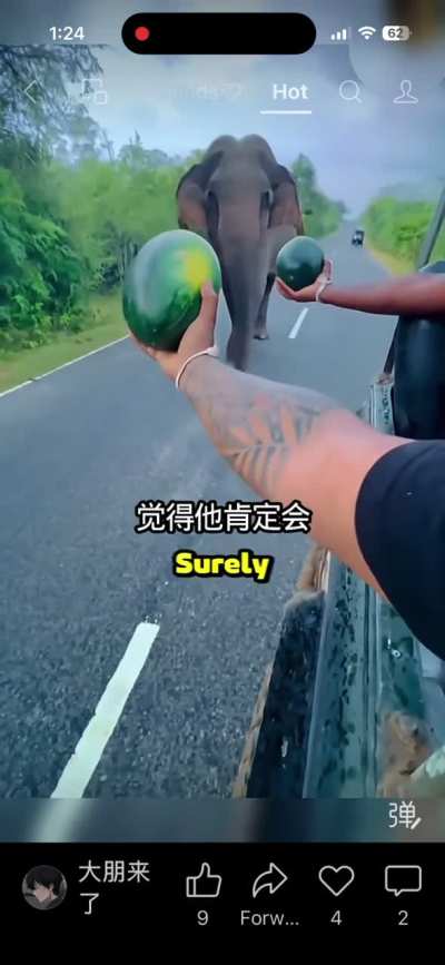 Some people in a tuk tuk somewhere in the world encounter a wild elephant and give it some melons. Notes didn’t say where they were.