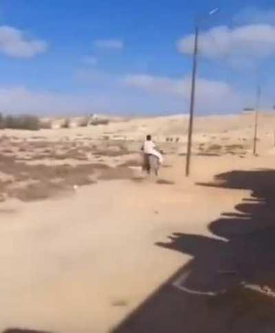 horse knew what it was doing