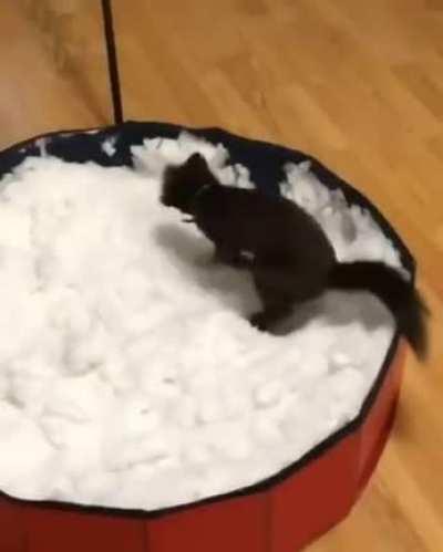 Весело, хе-хе!