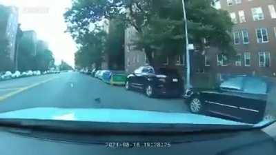 This is why you need a dash cam.