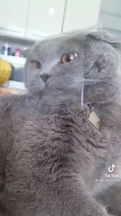 Kedy paket açılımı