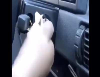 19 DOLLARS FORTNITE CARD 🦠