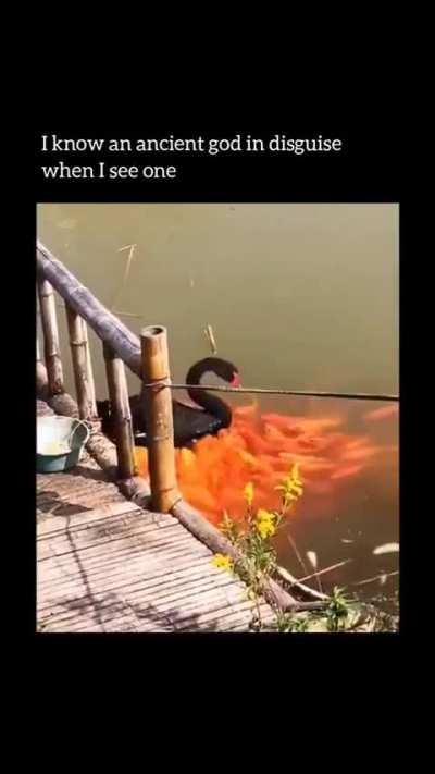 A God amongst mortals.