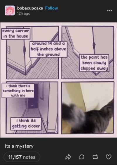 Something haunts these halls