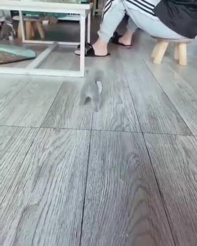 Make your mark at every step