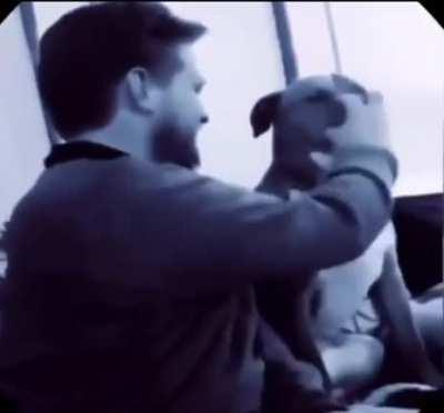 Quick, accurate, beautiful