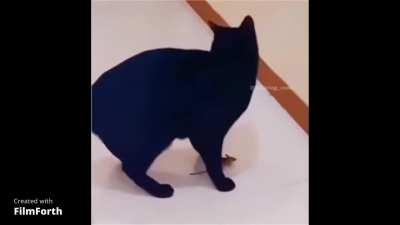 The most dangerous place is the safest place