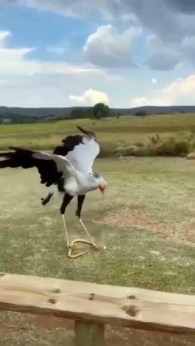 Wanda went nuts when her husband's lawyer asked her to sign the divorce papers