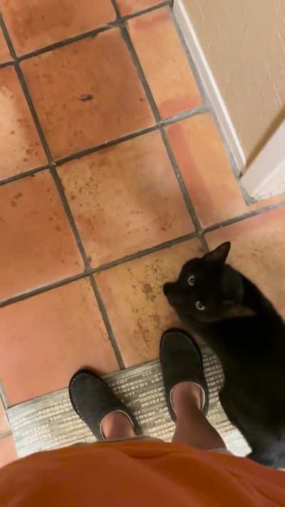 Electron is normally never this affectionate 😭