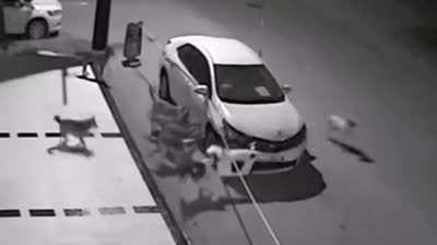 F this car particularly