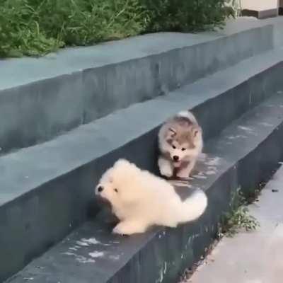 Hope this makes your day a little better ;)