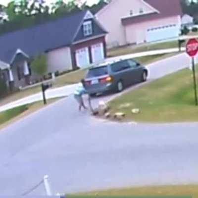 I cannot tell you how many people I have seen hit these rocks.