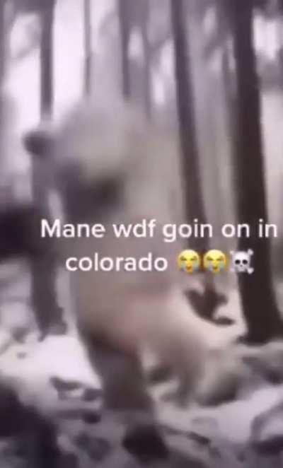 Ah yes, what a nice stroll