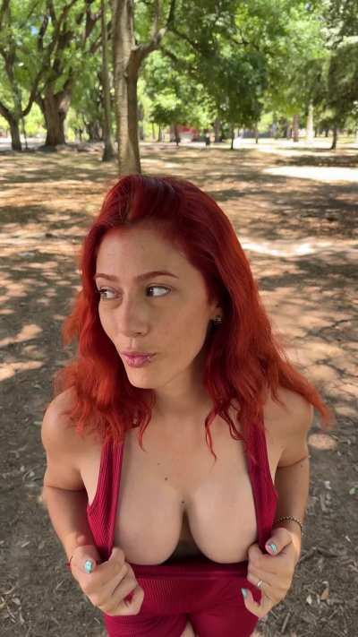 I love araucarias lol