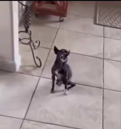 About to fly with that sneeze