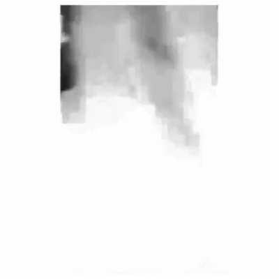 remember when everyone thought ari had a di*do in her room?