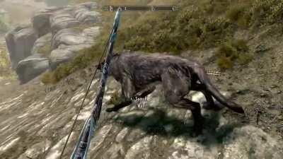 [Skyrim] I used to be an adventurer like you...