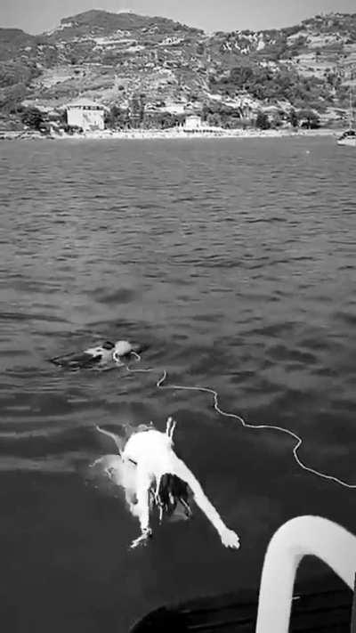 Leni | ocean plunge | August 2023