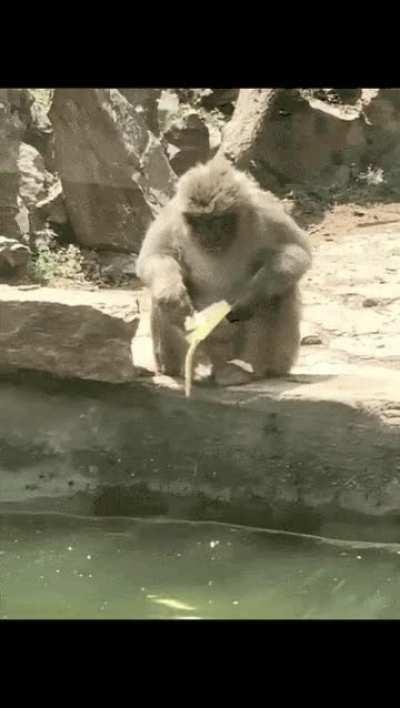 Oh f*** my banana!! its gone !!! Oh, It's really gone!!! Oh nooo...🙈🙈🙈