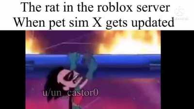 Poor rat