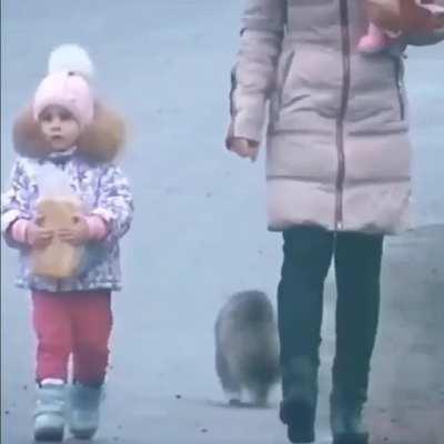 Always be ready🤣😸