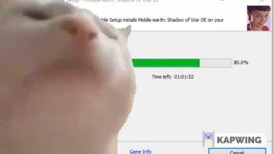 Vibing to the FitGirl installer