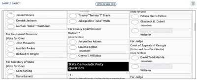 Who's your dog and why in the DeKalb primary?