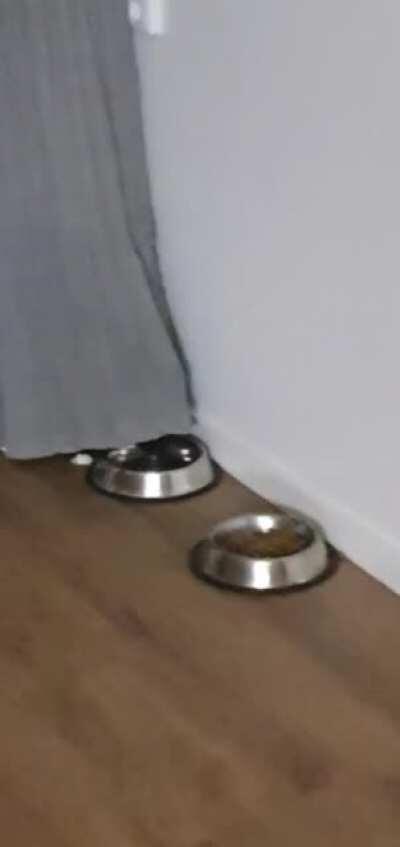 Drinking through the thin veil of the other dimension