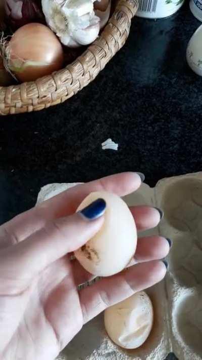 our chicken laid 2 eggs without a shell
