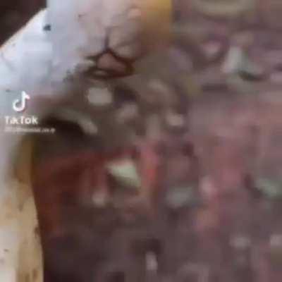 just gonna leave this here