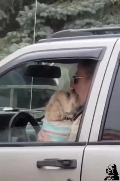 I don't get why people like this.