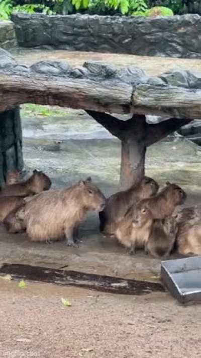 One of these things is not like the others