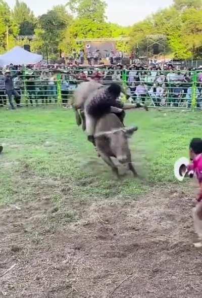 WCGW if I strap in a little too tight?