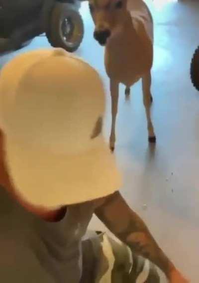 Утренний кофе