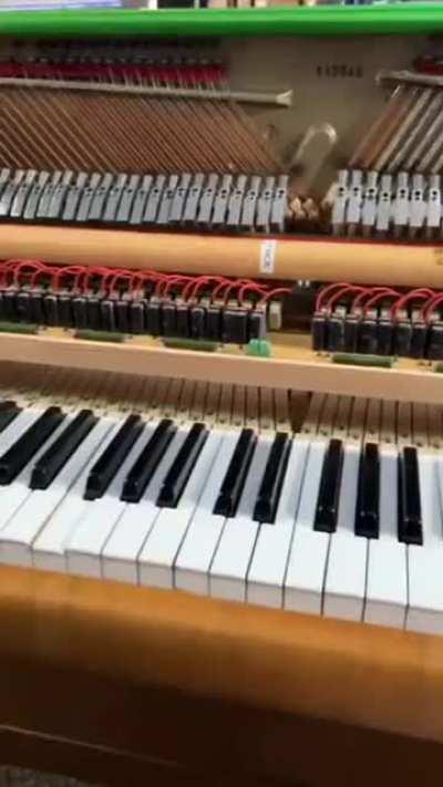 Electric Piano from Wish