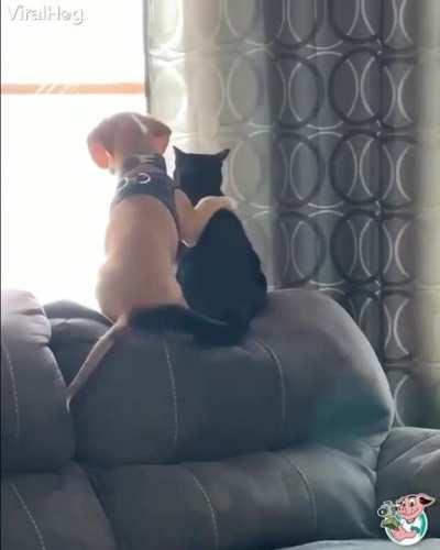 Just hope they don't go about commiting sin💥💥