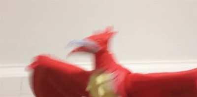 How would you caption this?