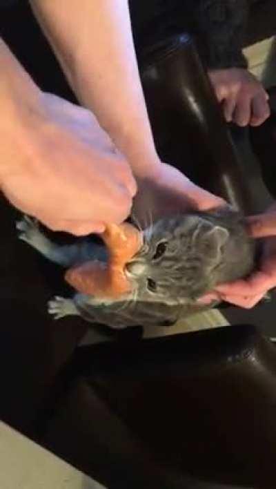 Thor's pissed that were taking back the zozidge