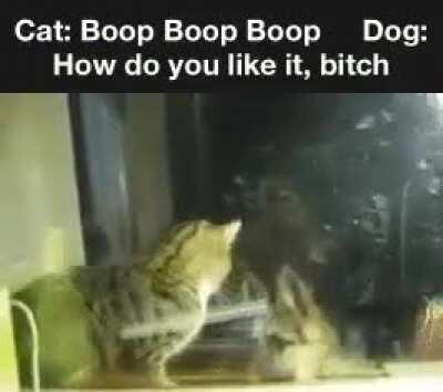 Pussy gets a taste of his own medicine