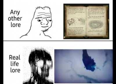 Me speed running life campaign any%