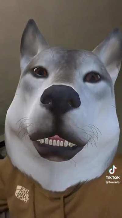 A shining endorsement