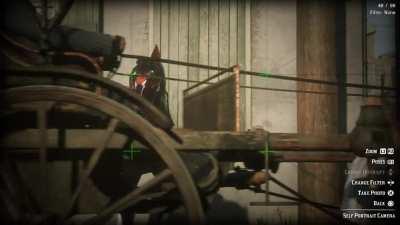 This is the game telling me that only my horse deserves to be in the picture