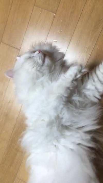 Roll over activation